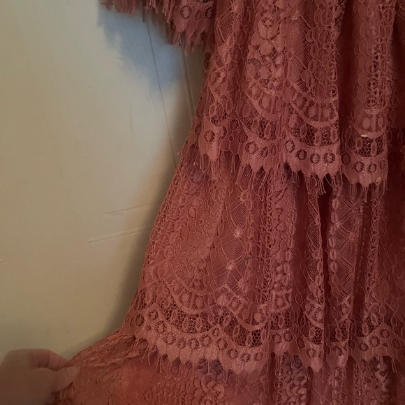 Anthropologie Champagne & Strawberries Lace Corset Vintage style Dress - Picture 8 of 9